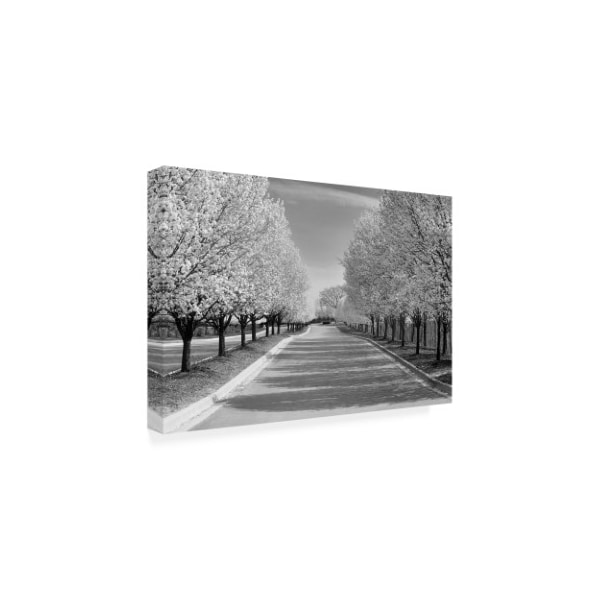 Monte Nagler 'Row Of Trees' Canvas Art,22x32